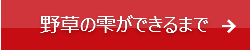野草の雫.png